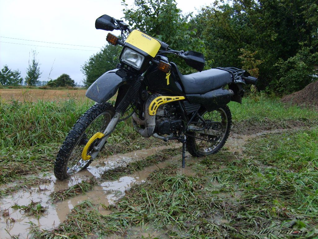 Photo 1386902