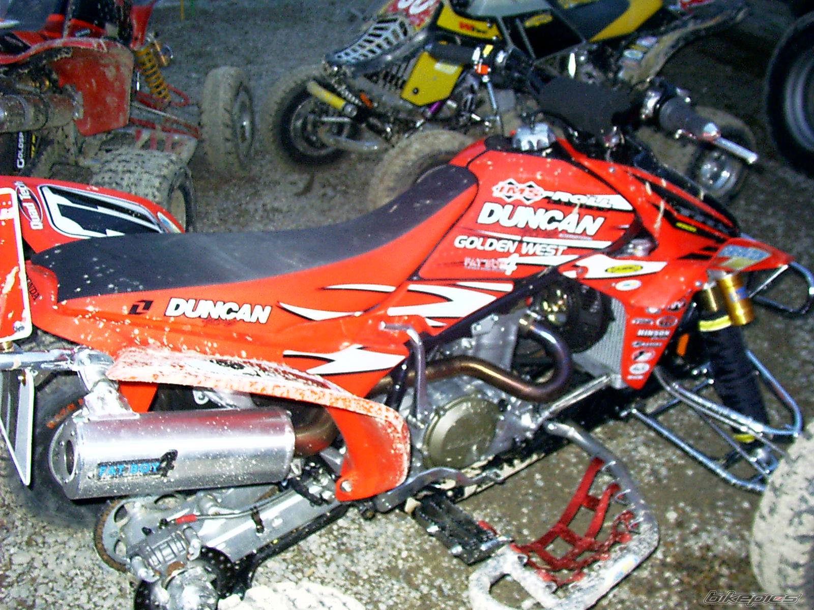 Photo 138698
