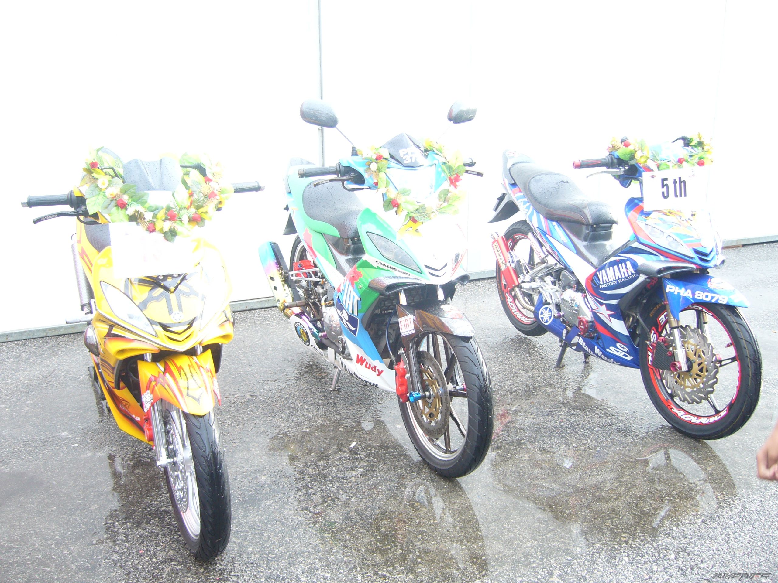 Photo 1386985