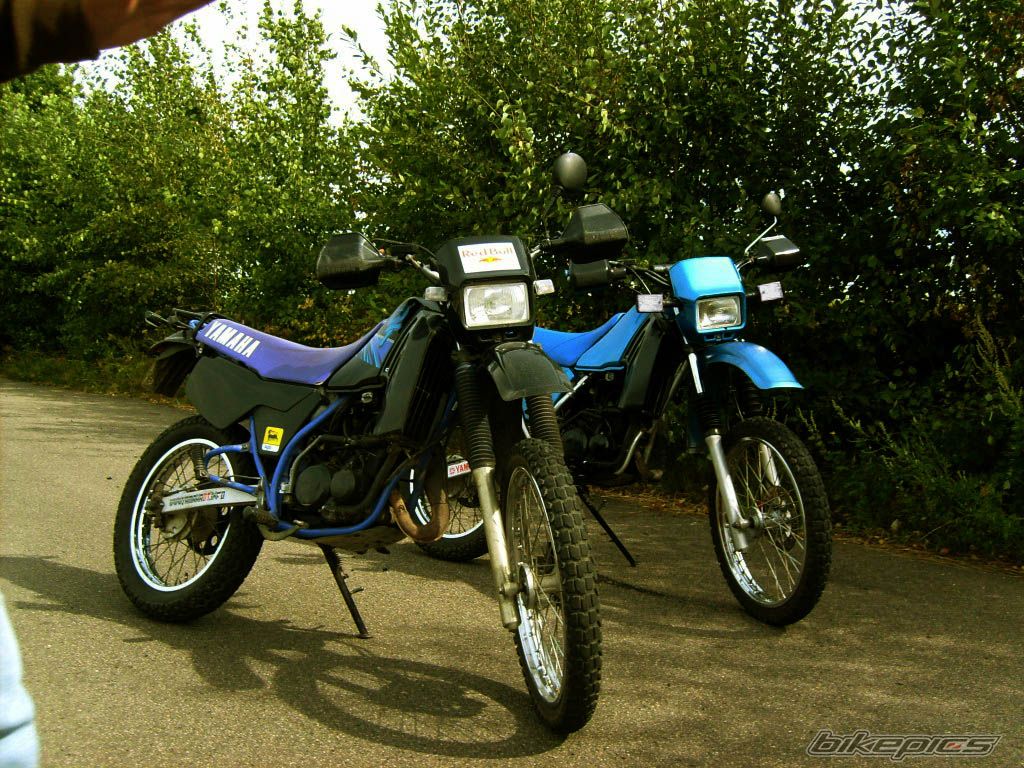 Bike Photo 1386988