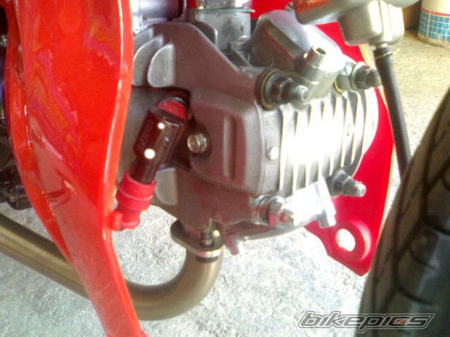 Photo 1387050