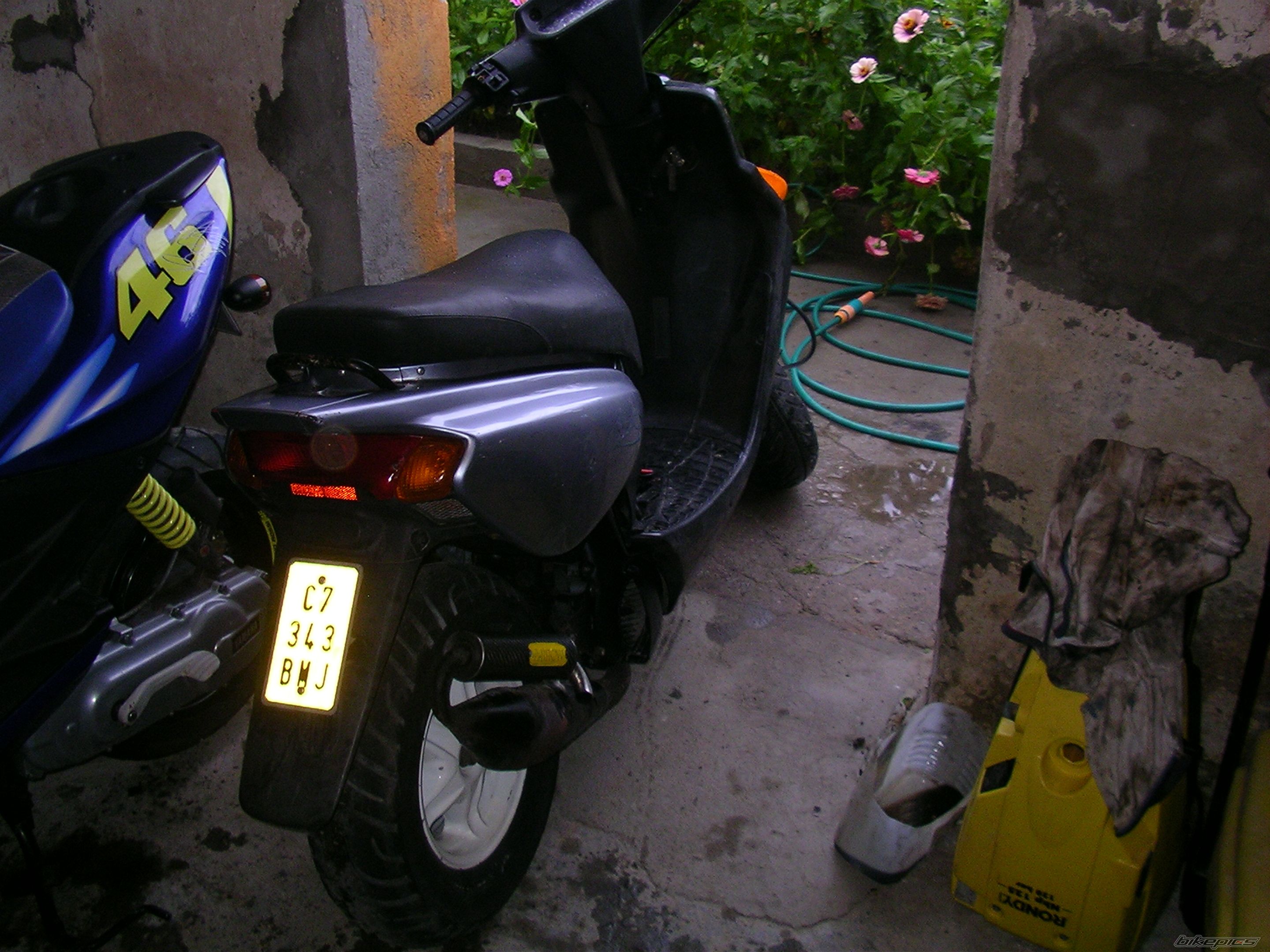 Photo 1387055