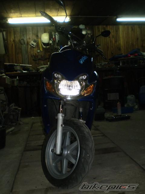 Photo 1387184