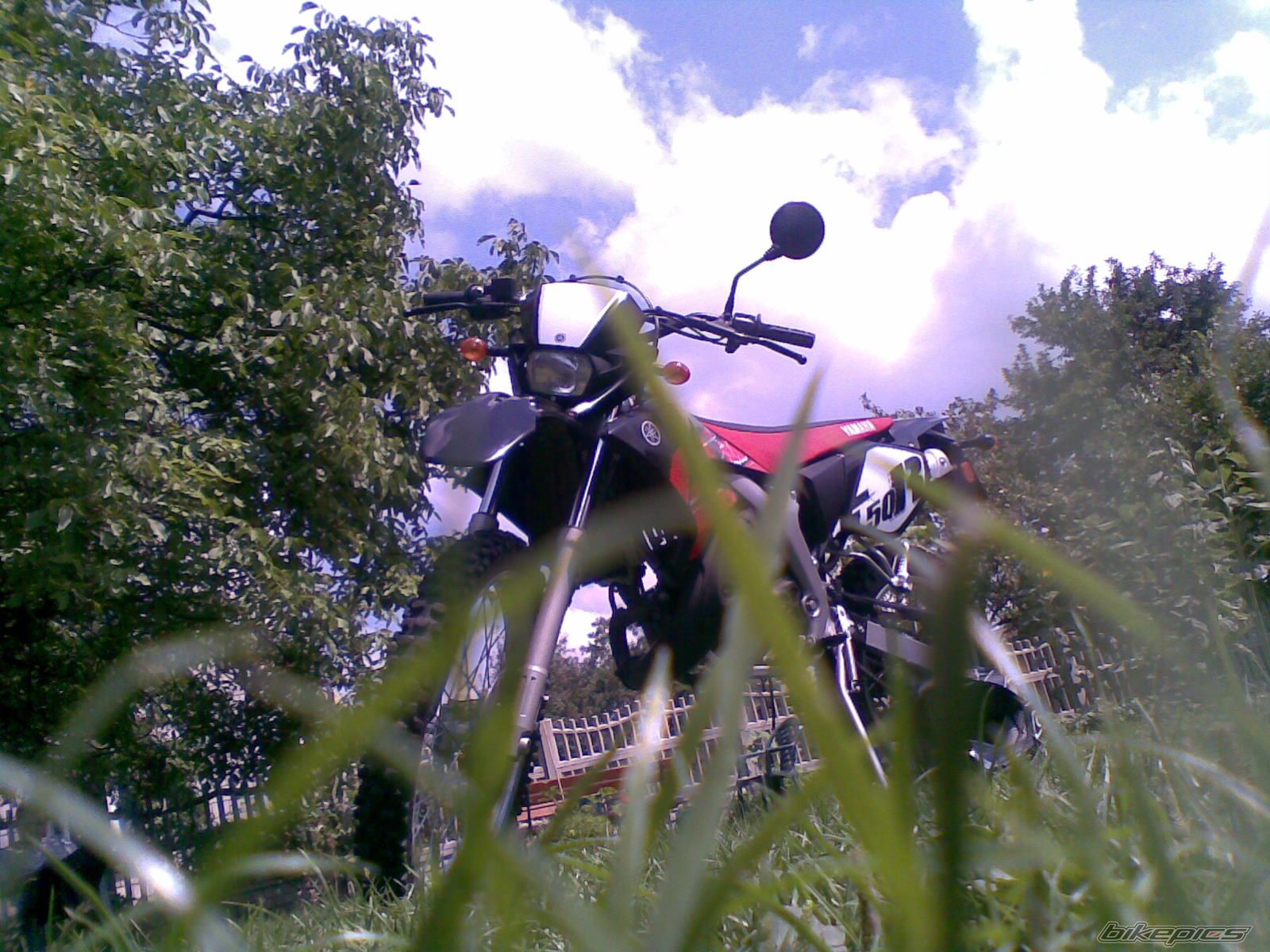Photo 1387205