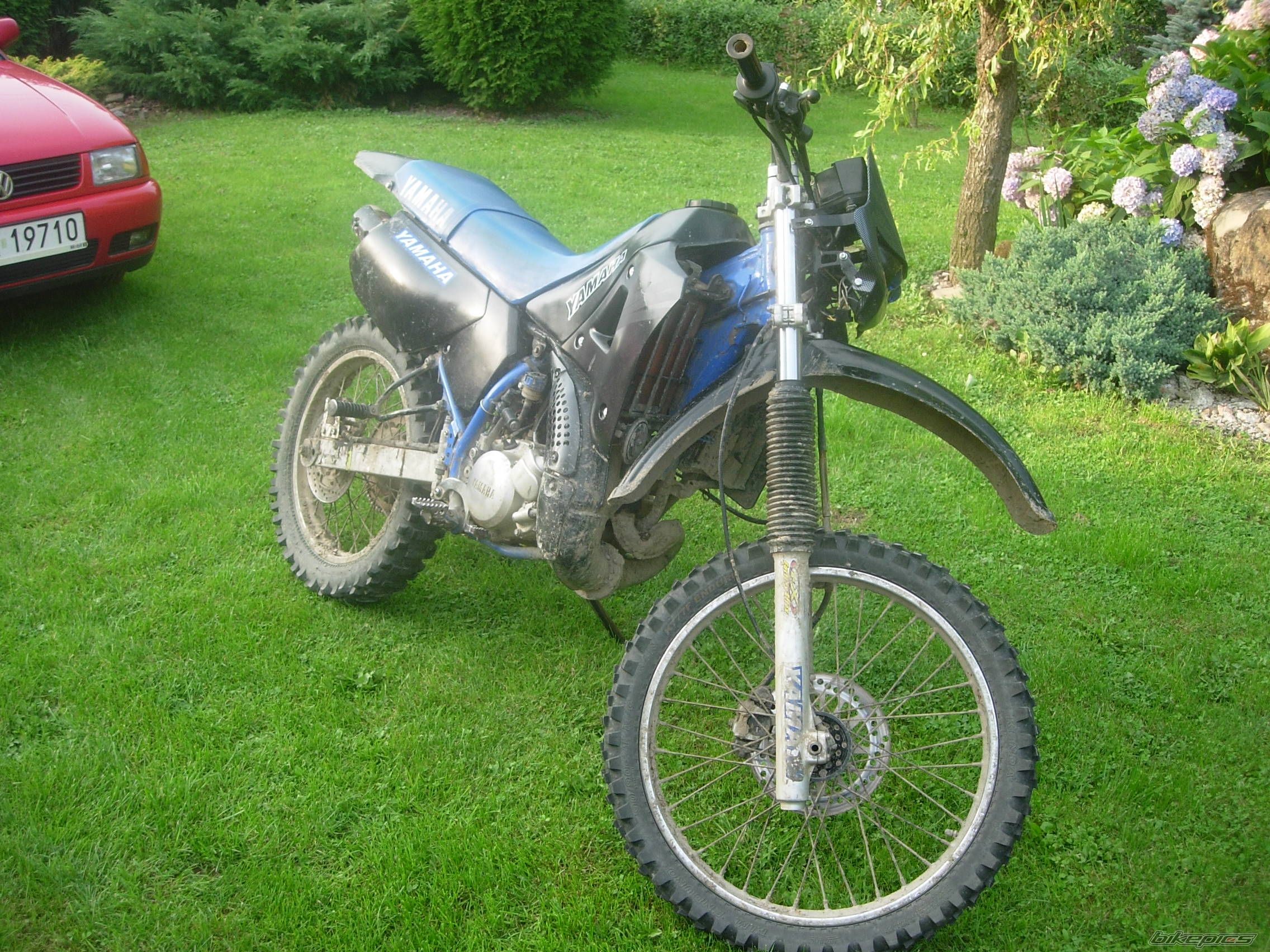 Photo 1387217