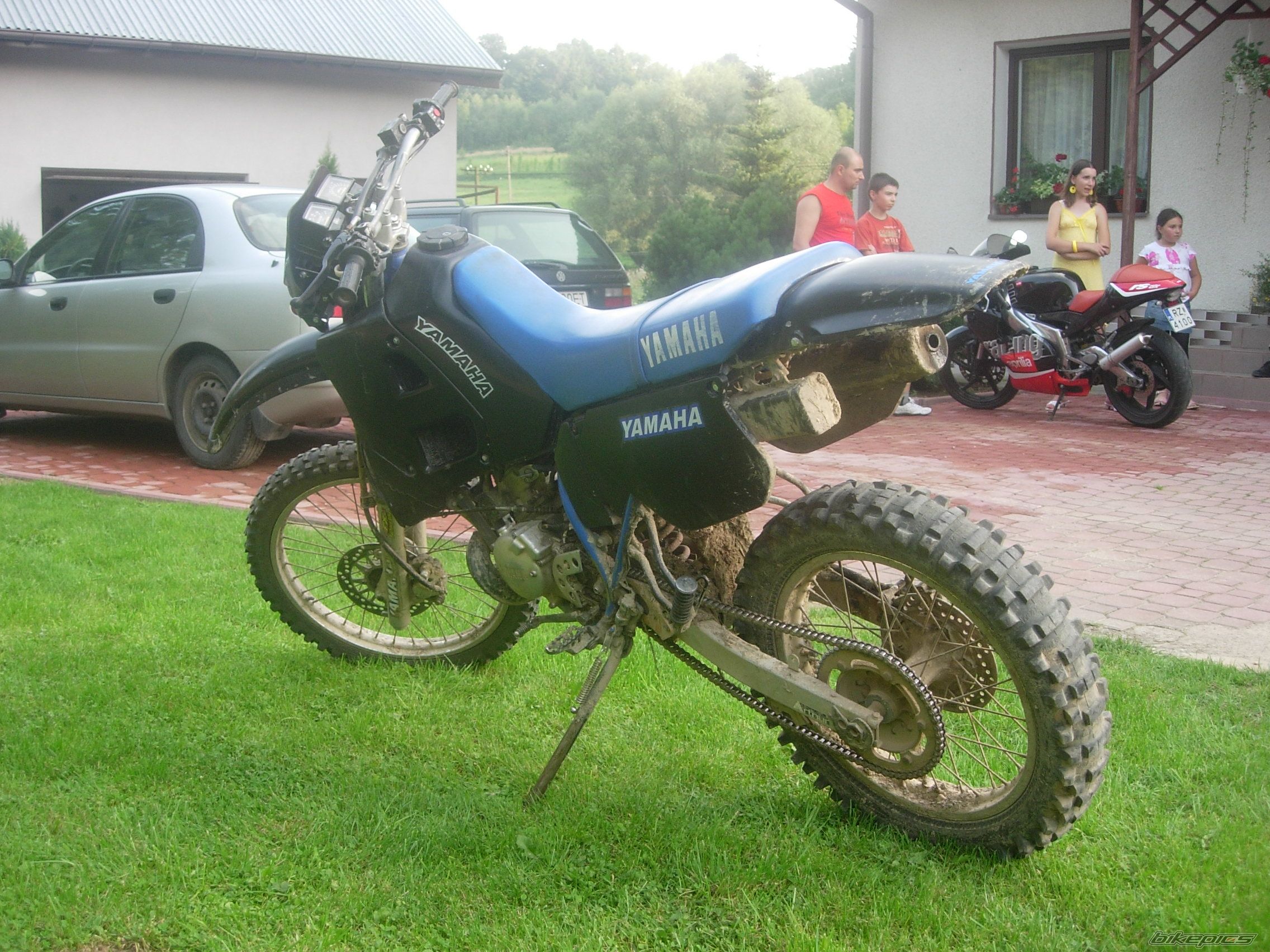 Photo 1387227