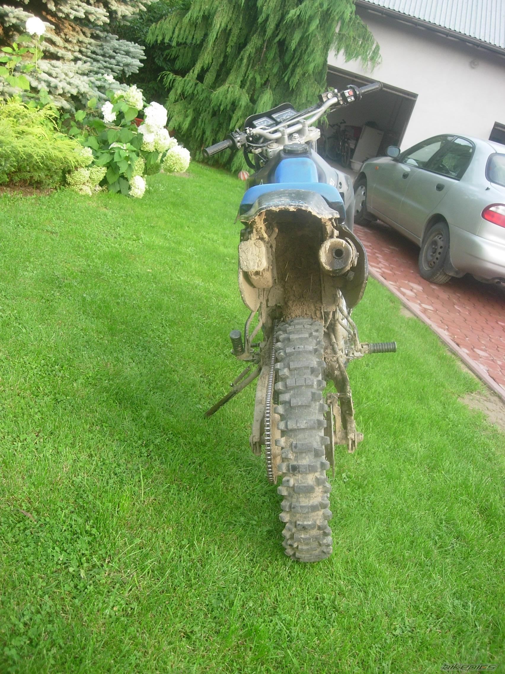 Photo 1387228