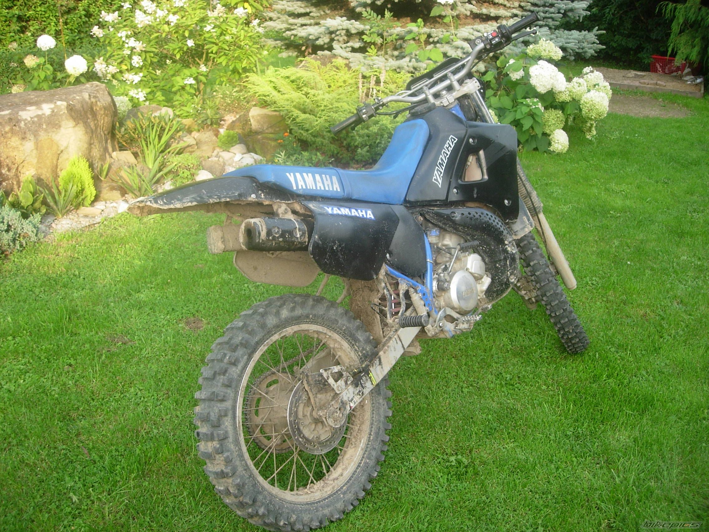 Photo 1387230