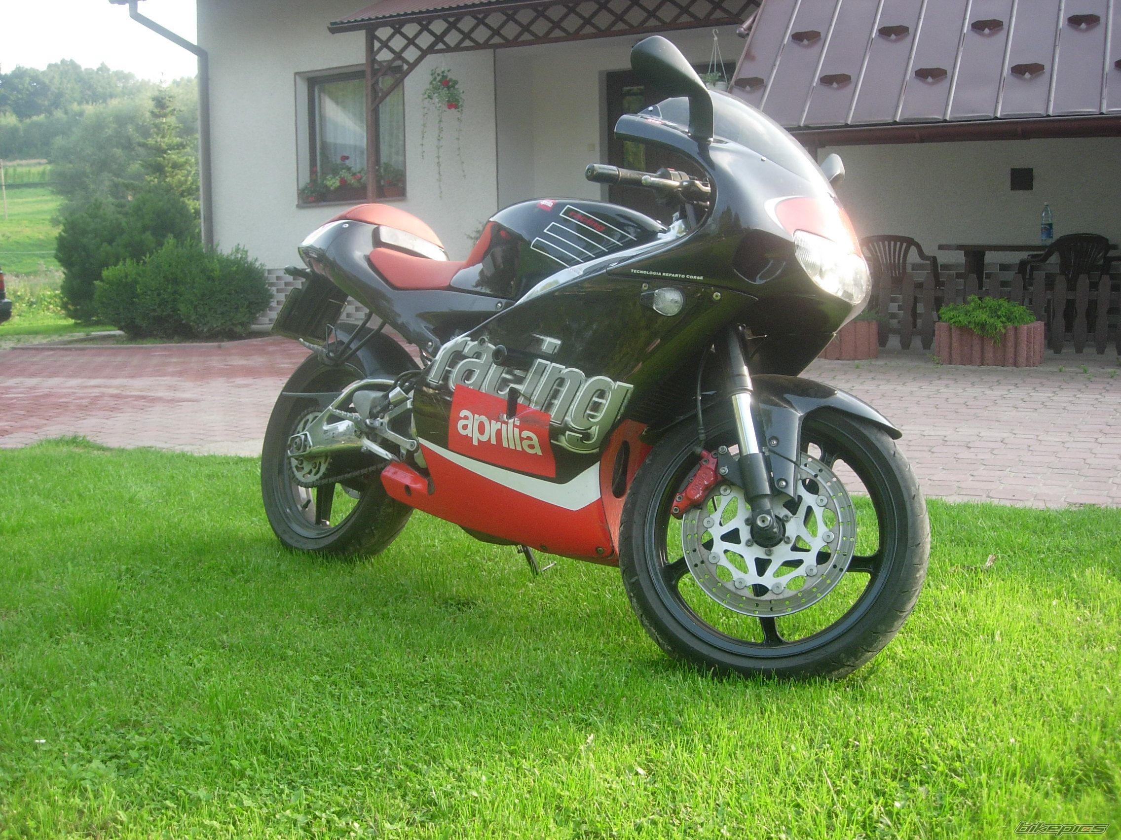 Photo 1387233