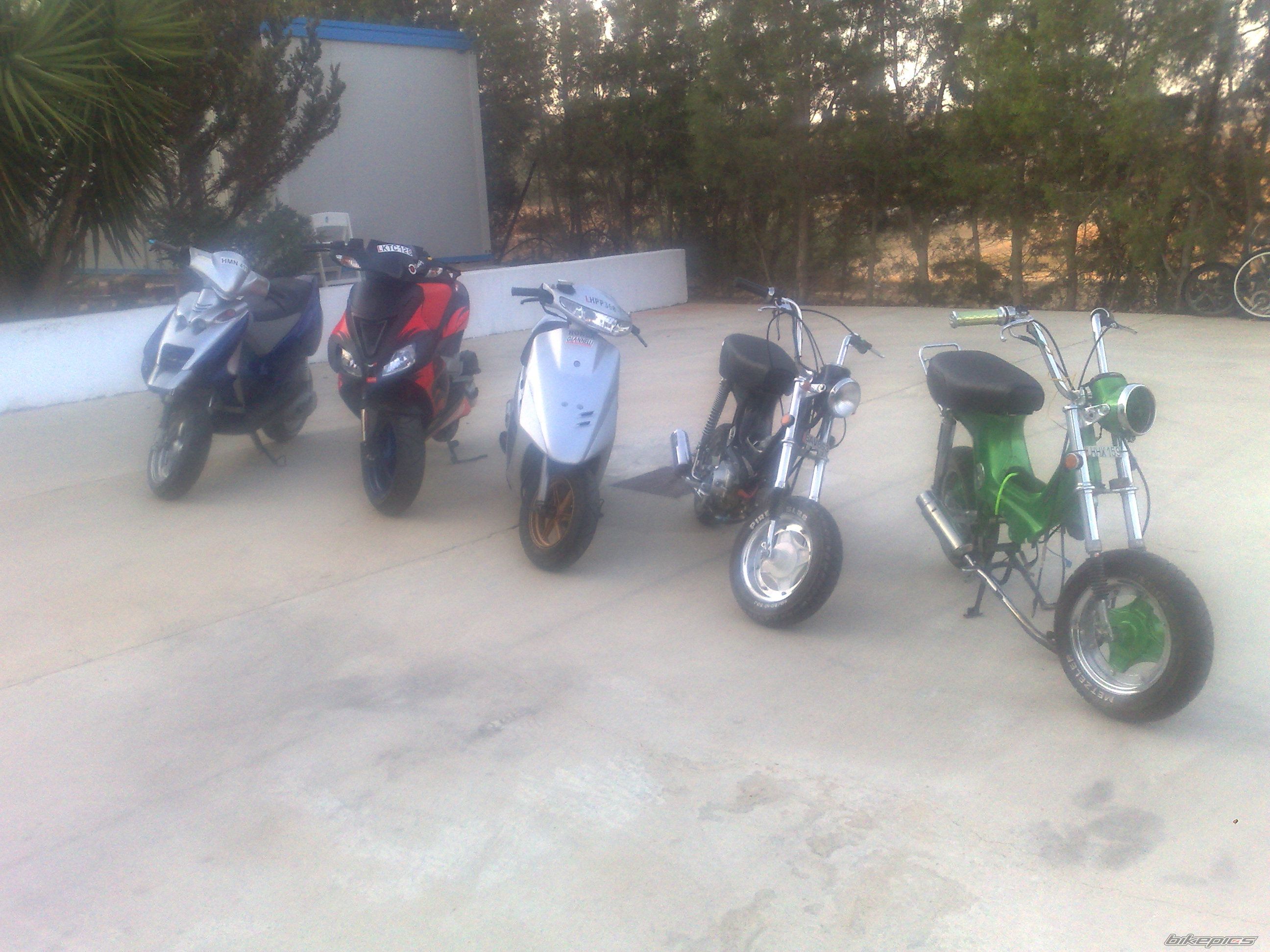 Photo 1387235