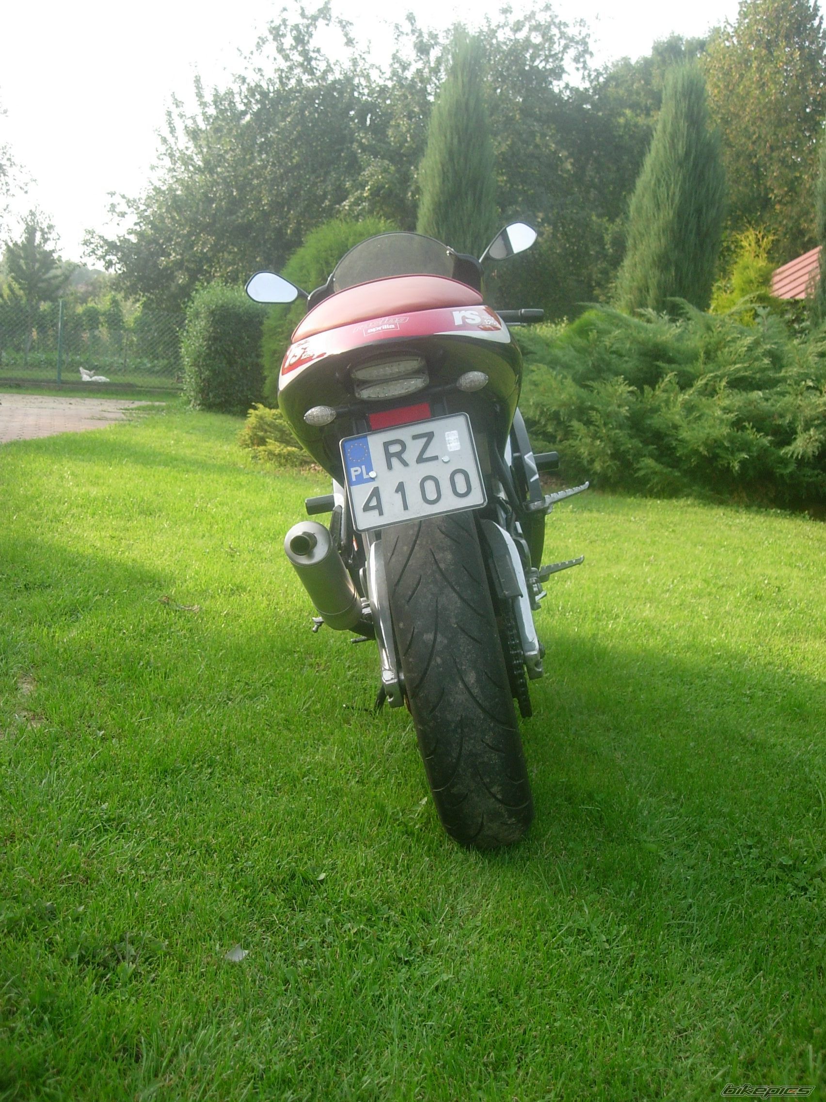 Photo 1387243