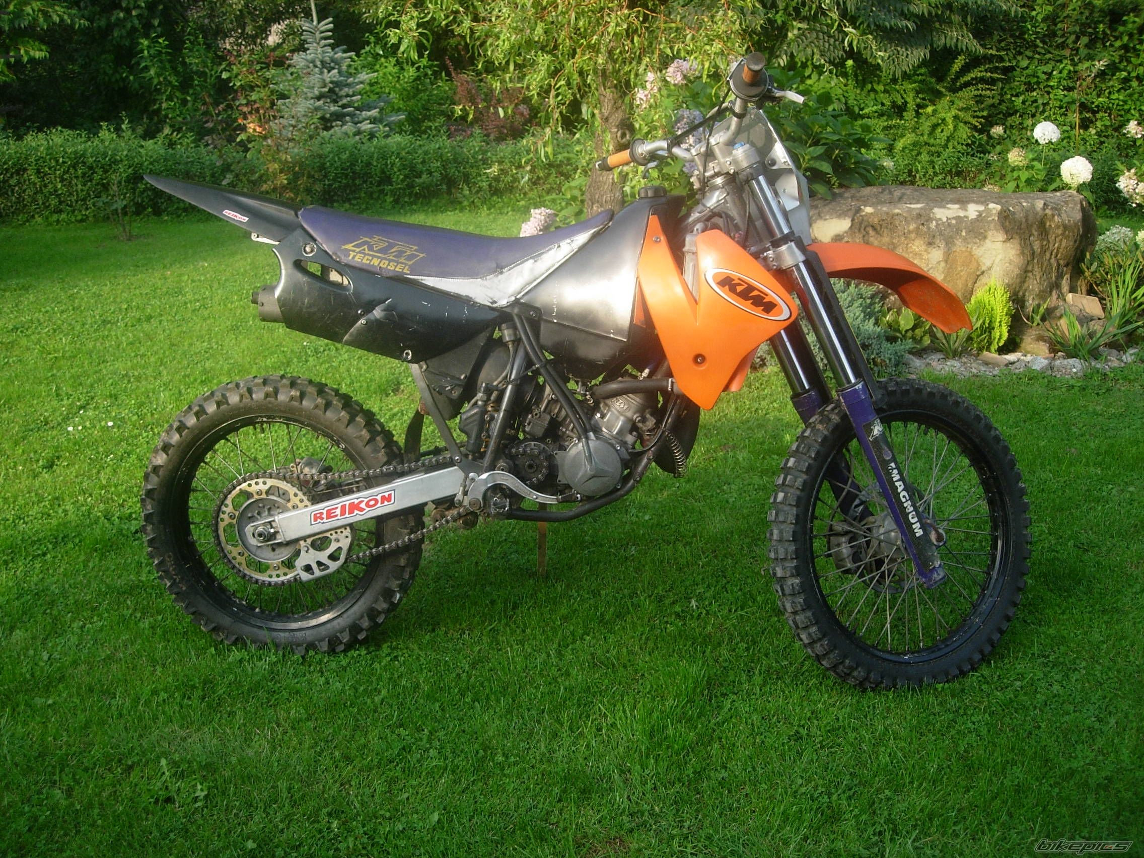 Photo 1387250