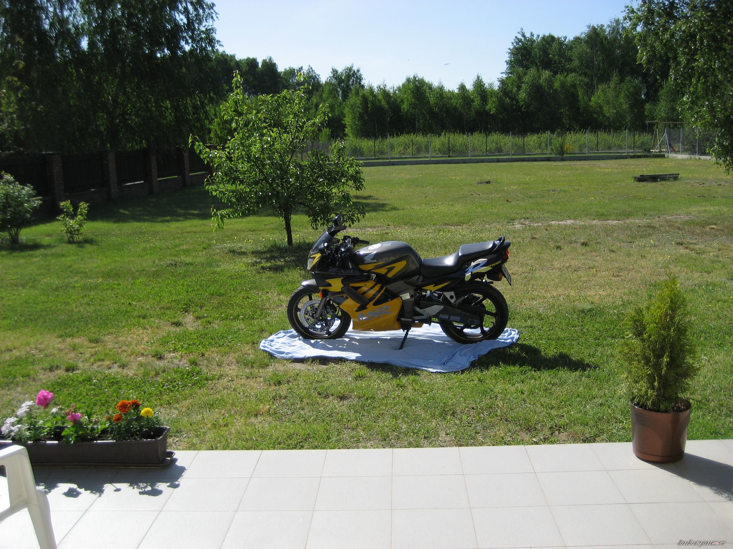 Photo 1387288