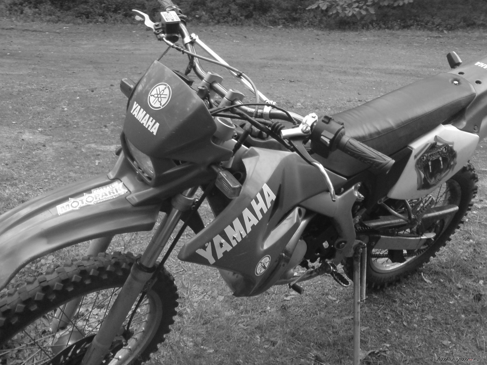 Photo 1387305