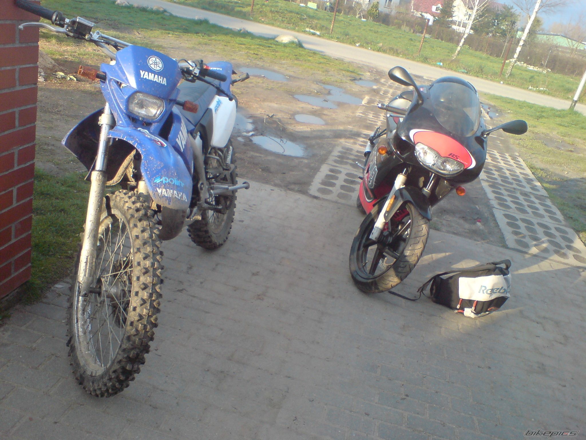 Photo 1387306