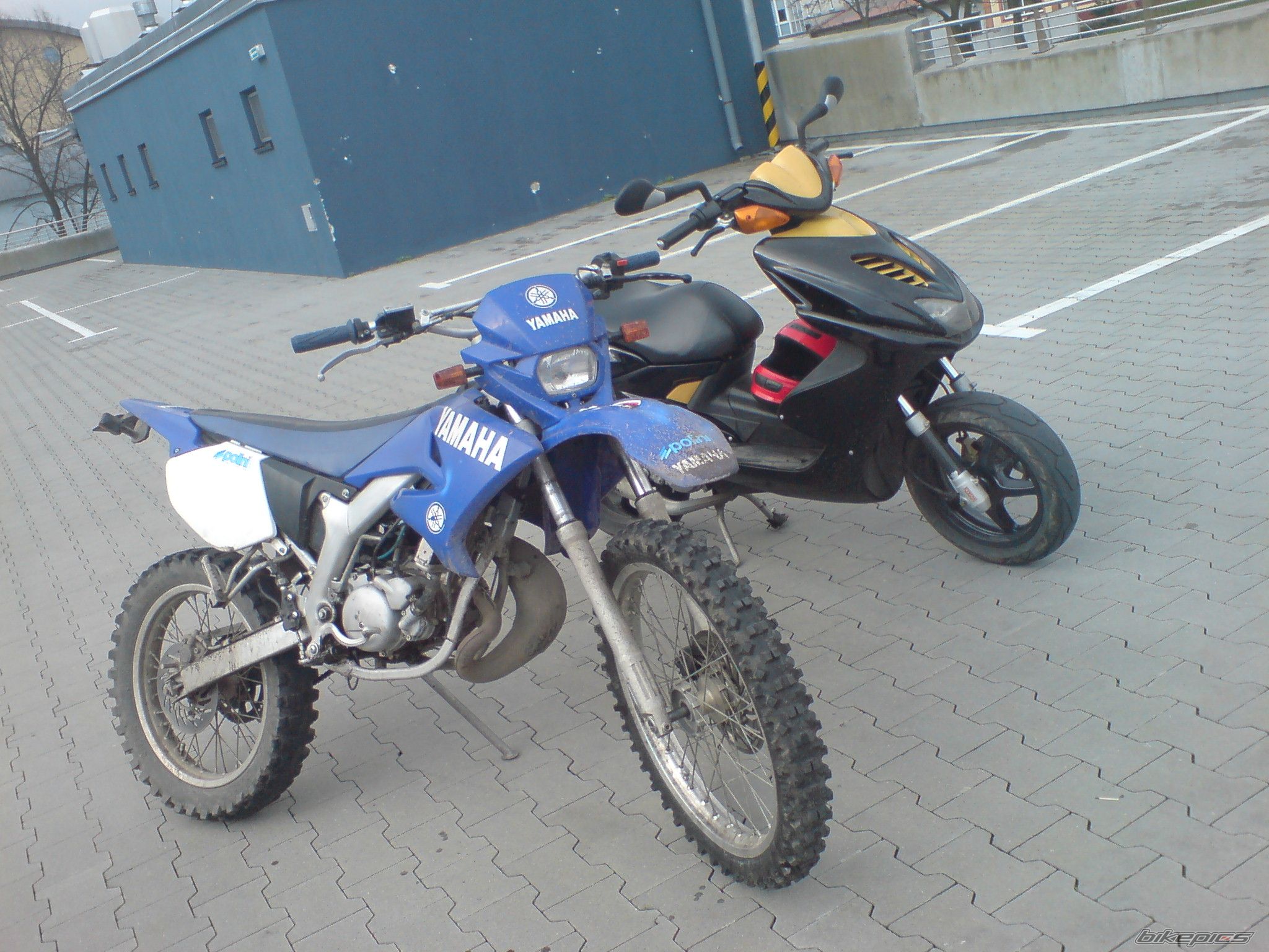 Photo 1387308
