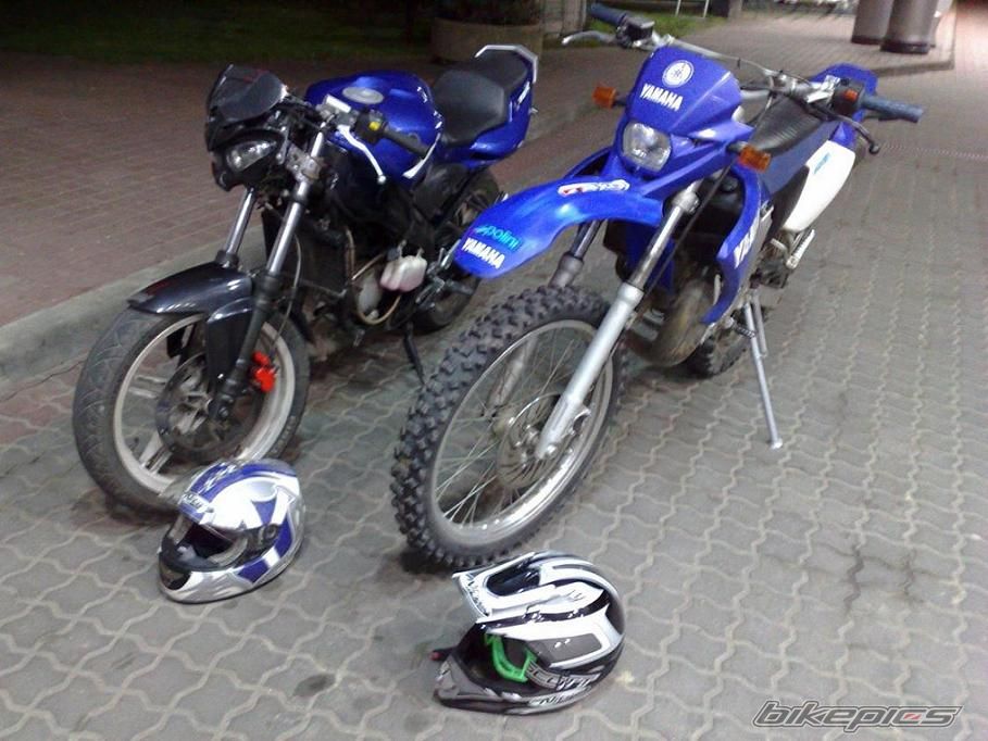 Photo 1387309