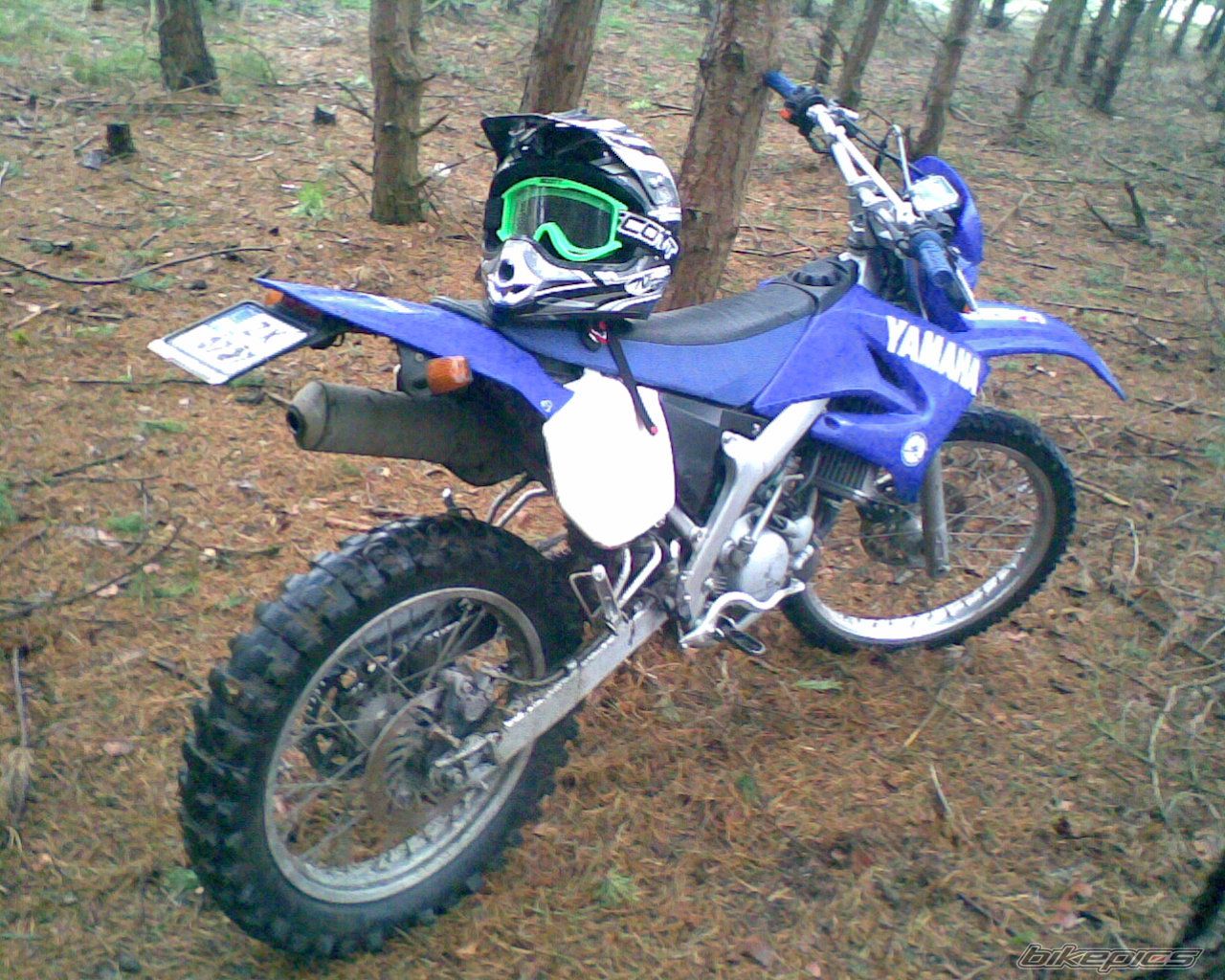 Photo 1387310