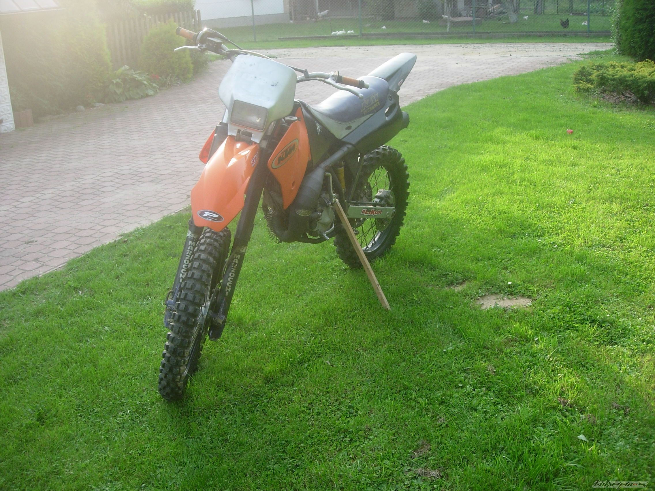 Photo 1387328