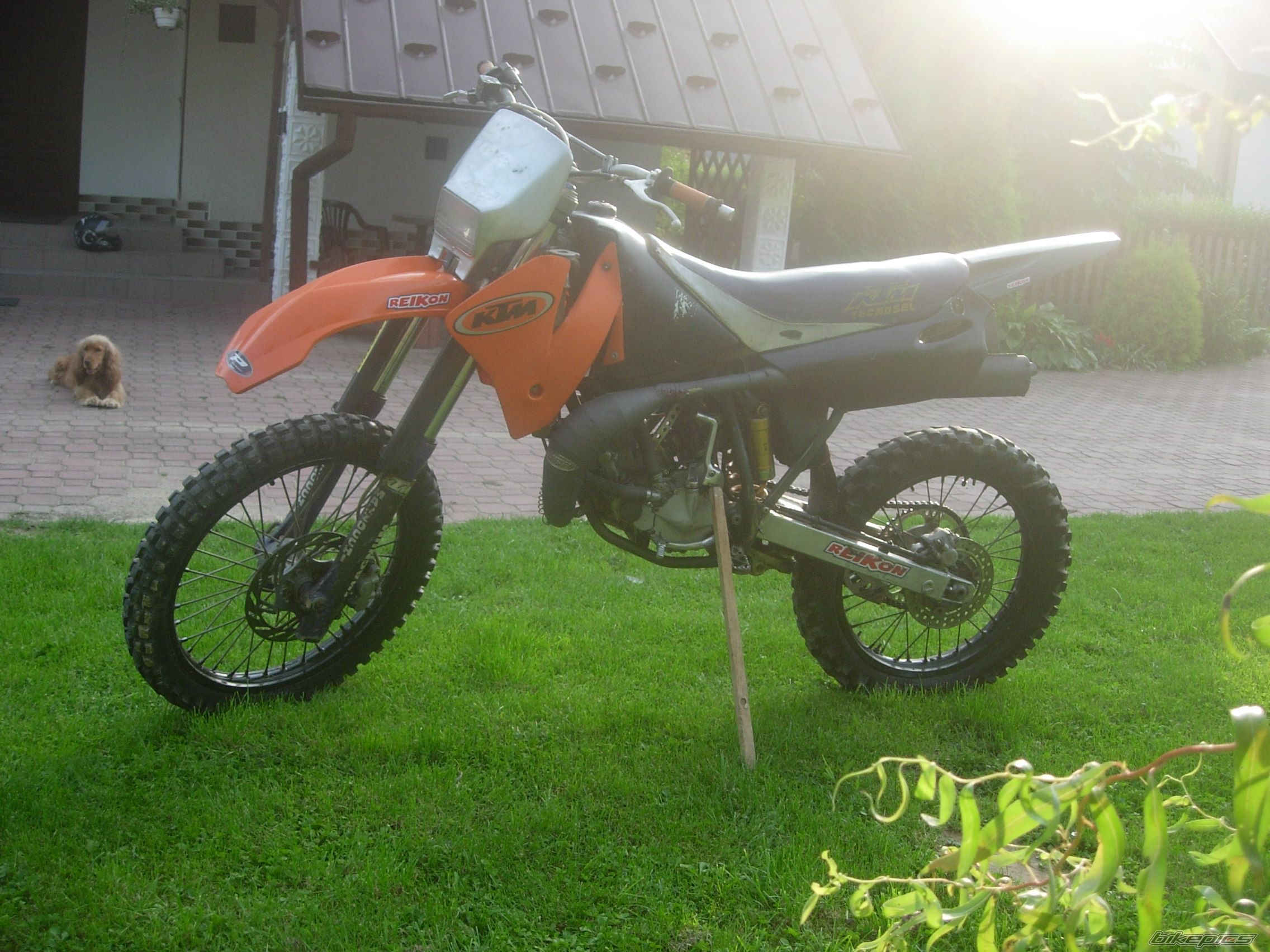 Photo 1387329