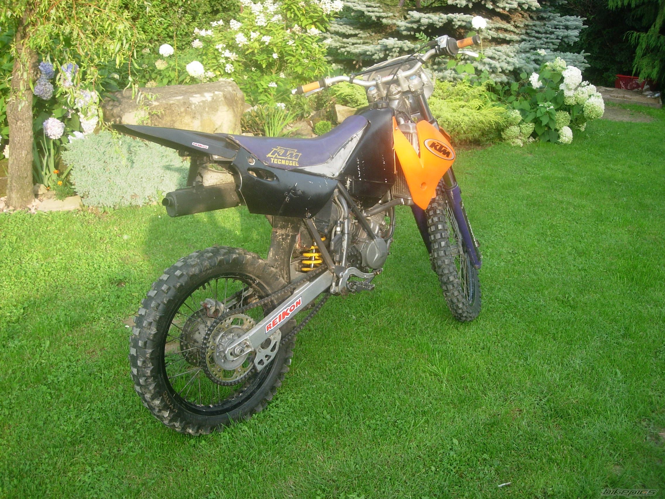 Photo 1387333