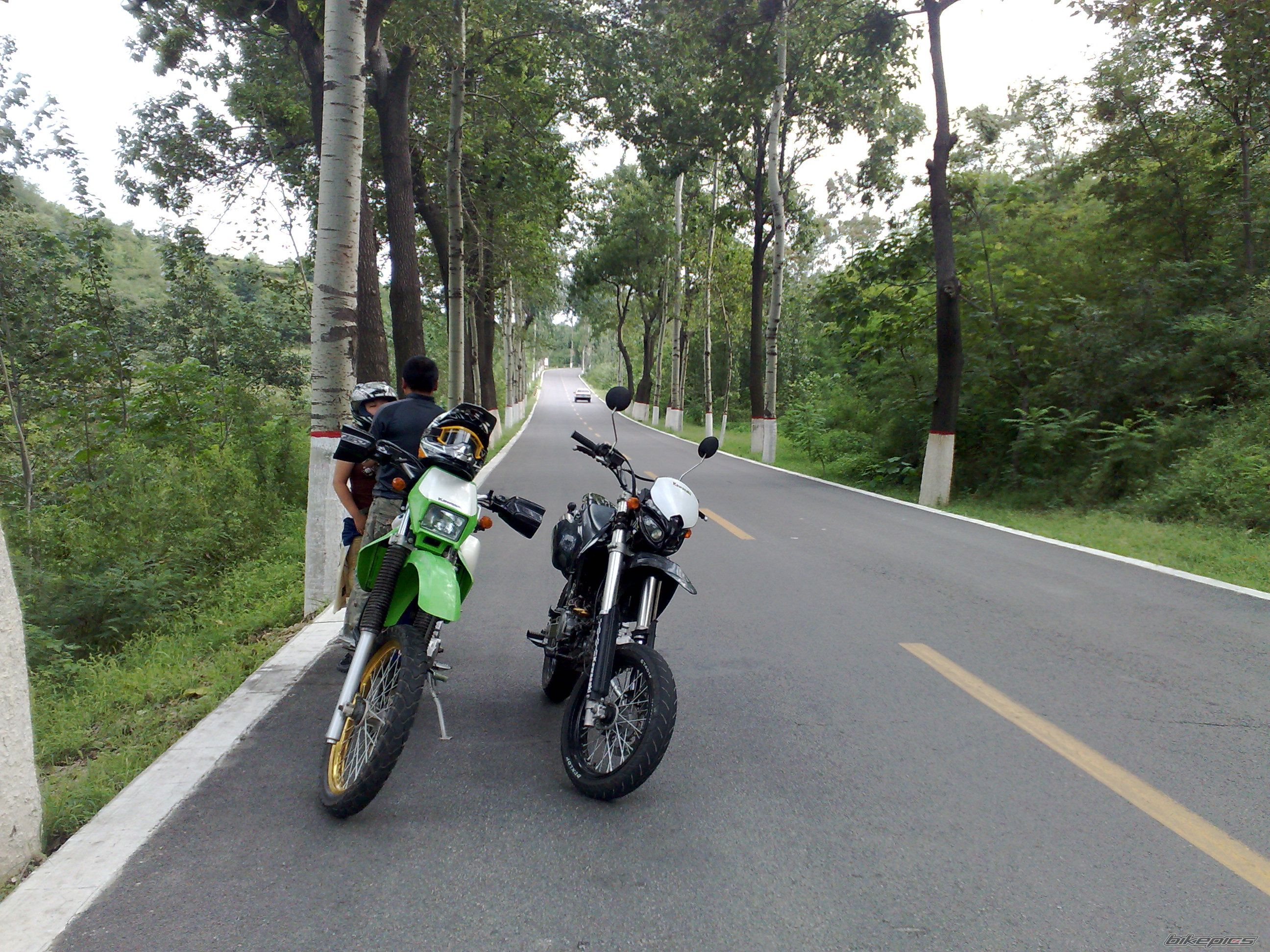 Photo 1387363