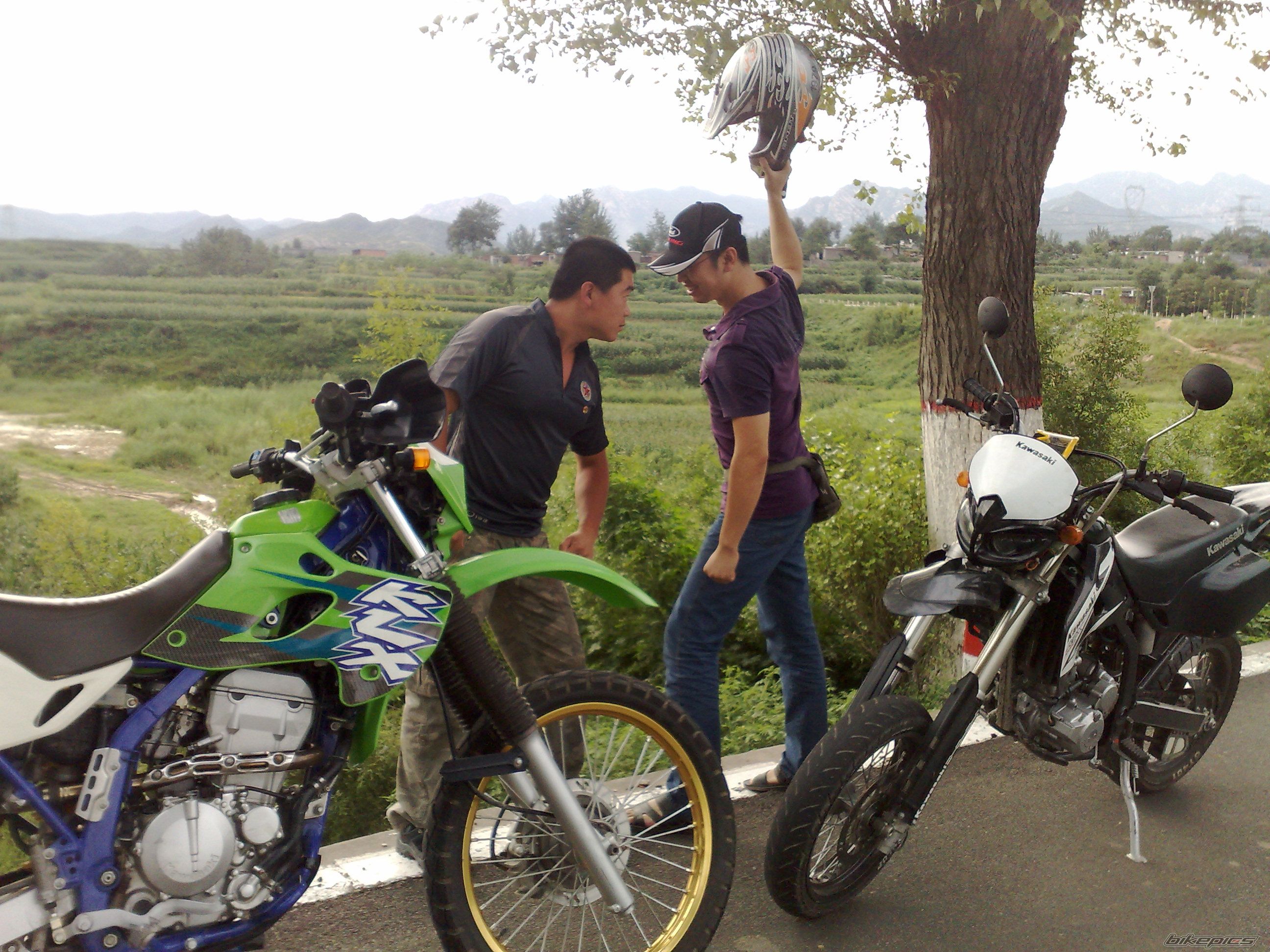 Photo 1387398