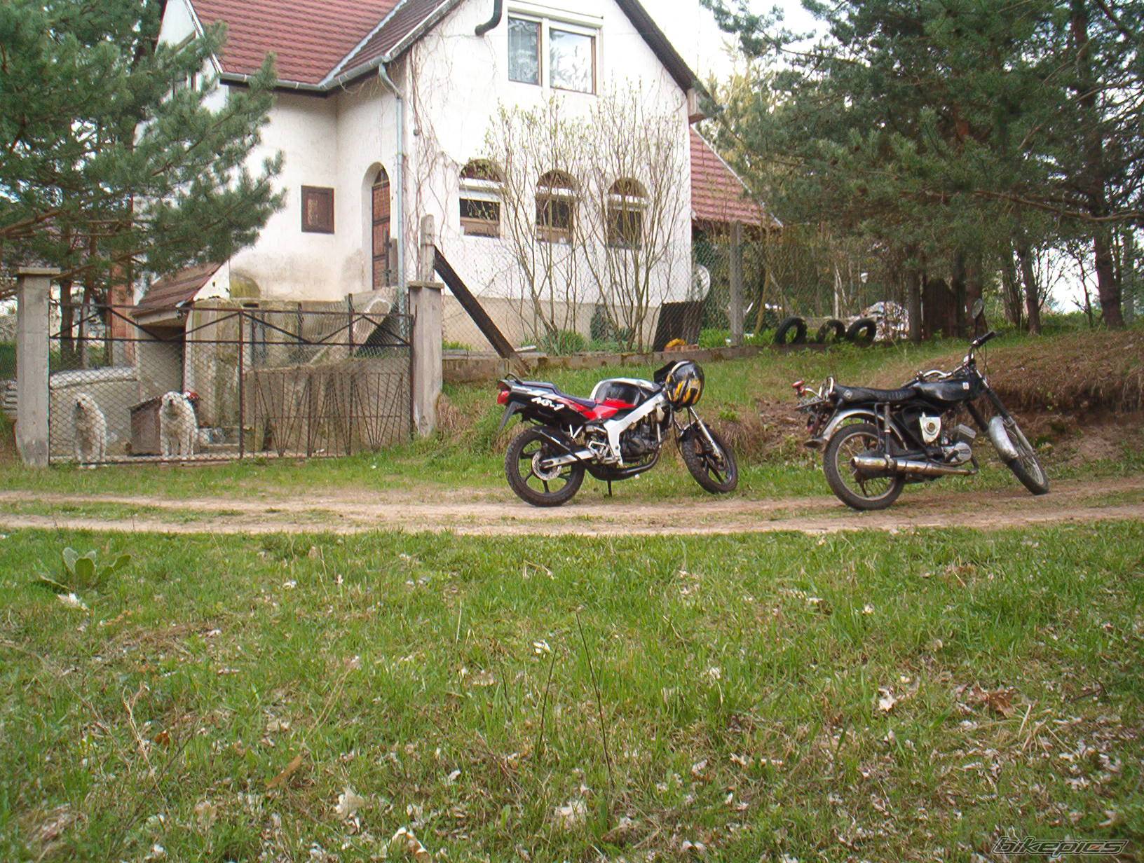 Photo 138748