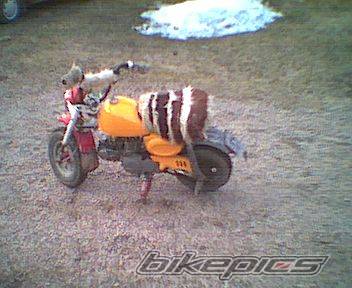 Bike Photo 138749
