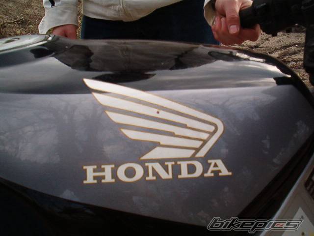 Photo 138762