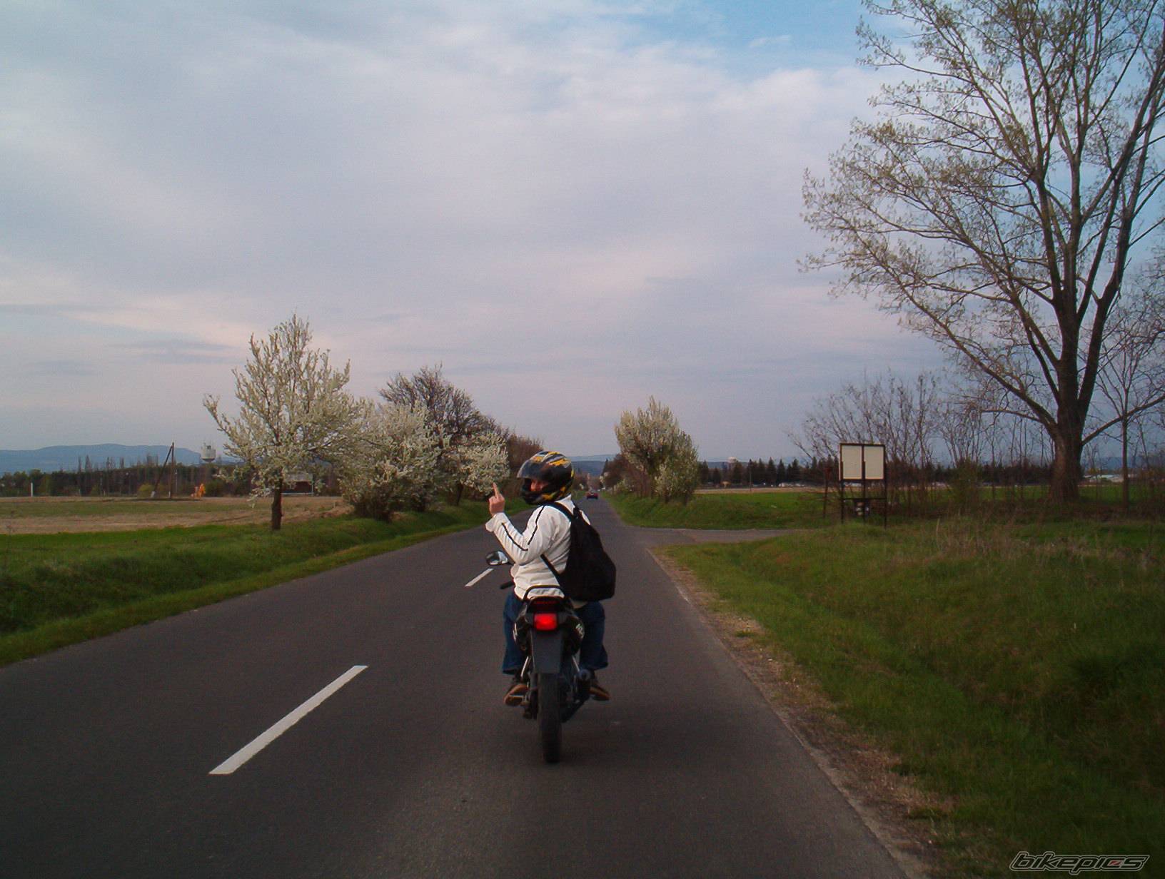 Photo 138765