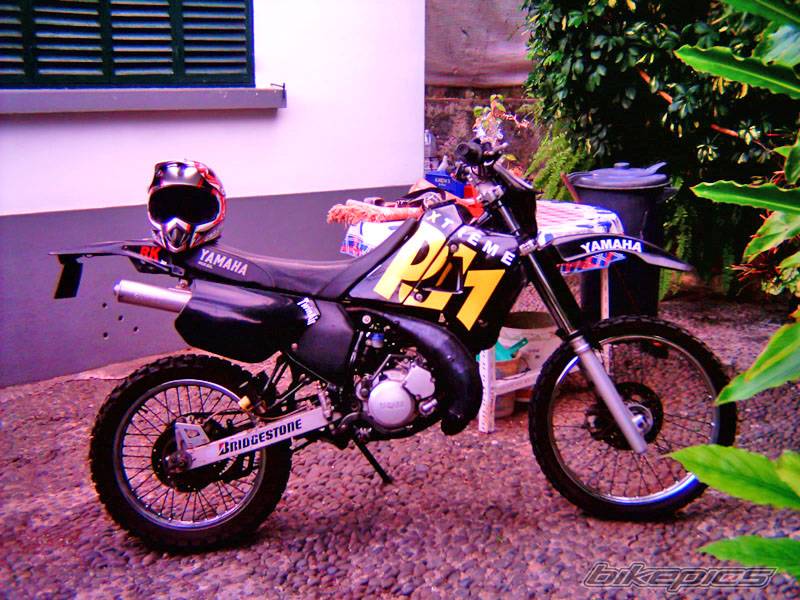 Photo 138781