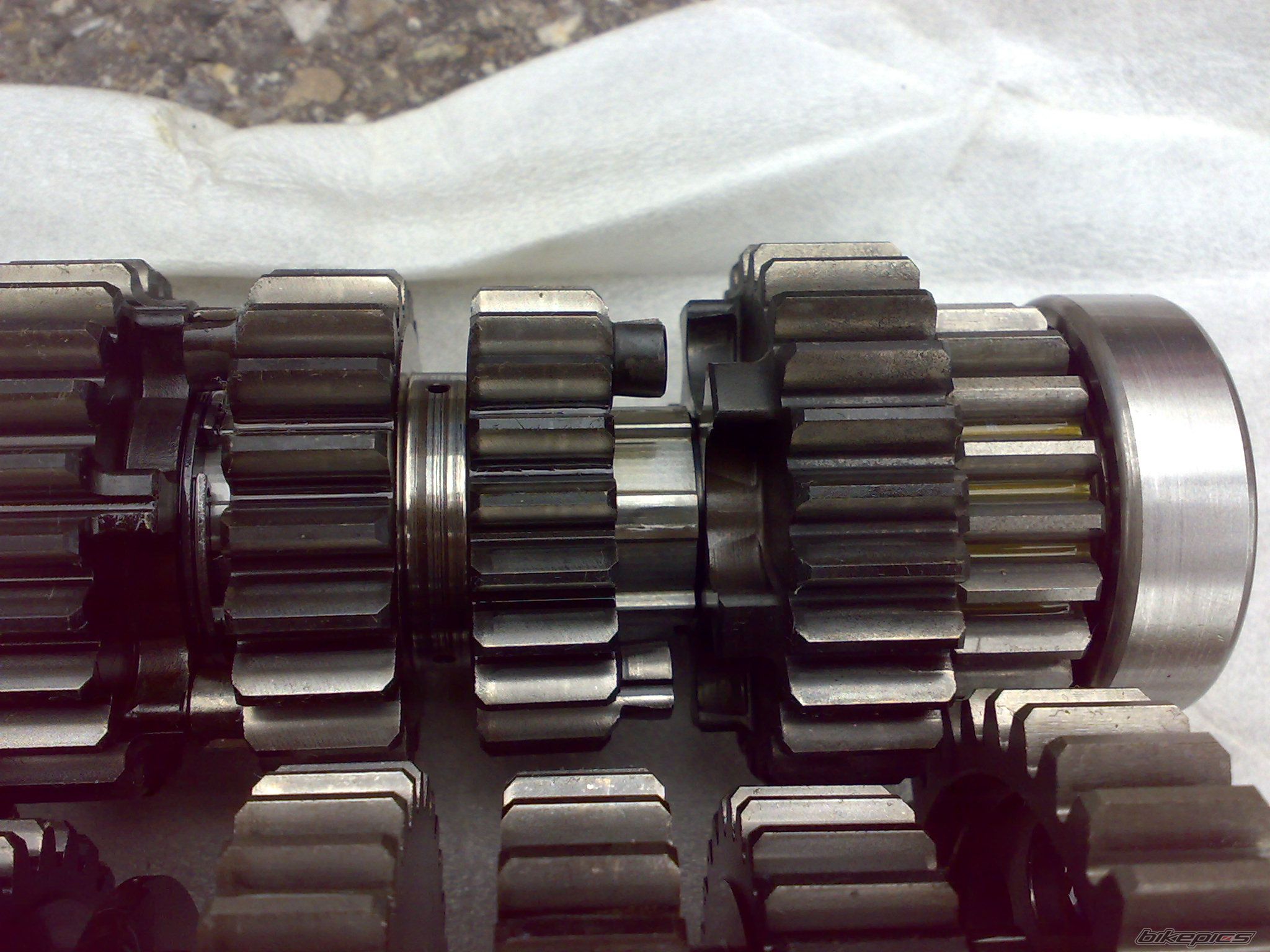 Photo 1387863