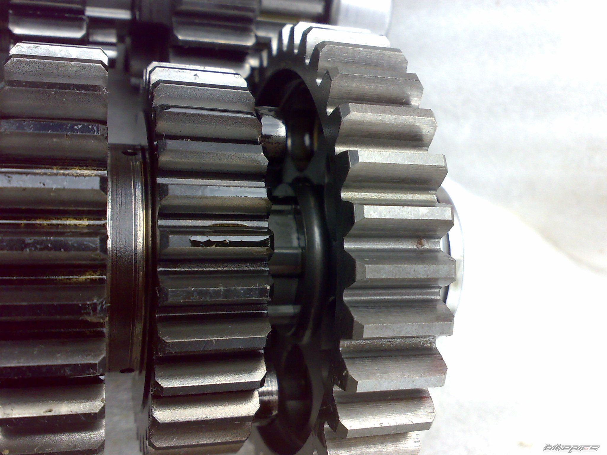 Photo 1387867