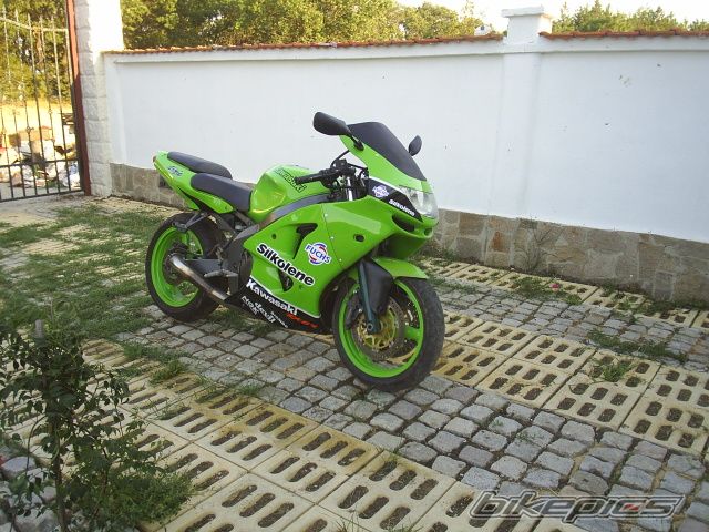 Photo 1387897