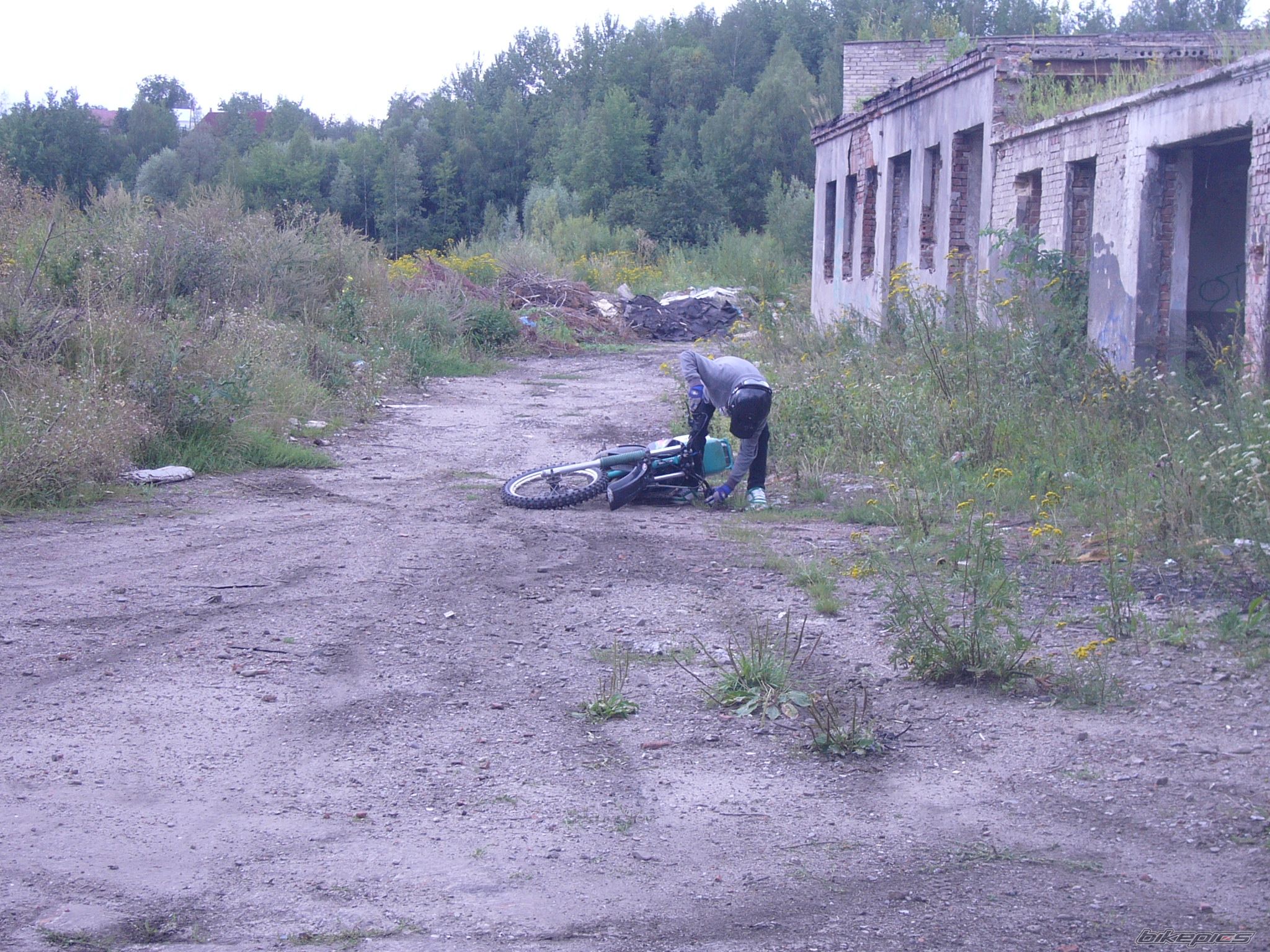Photo 1388023