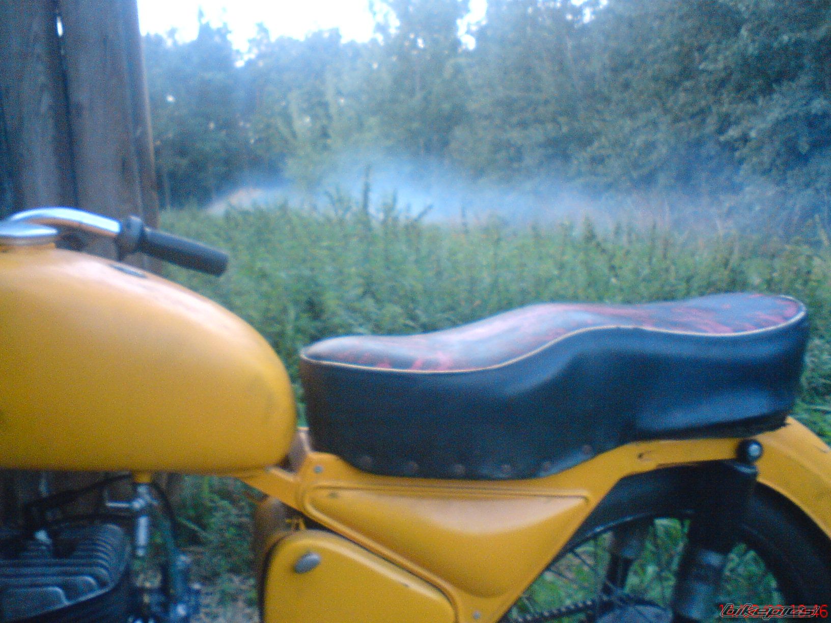 Photo 1388108