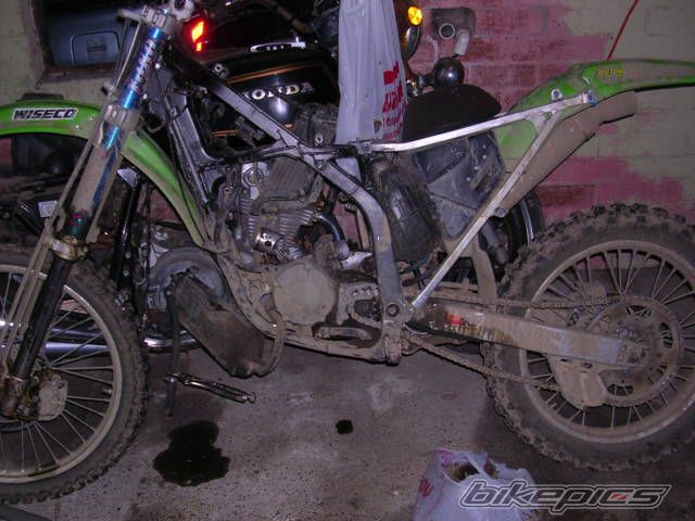 Photo 1388158