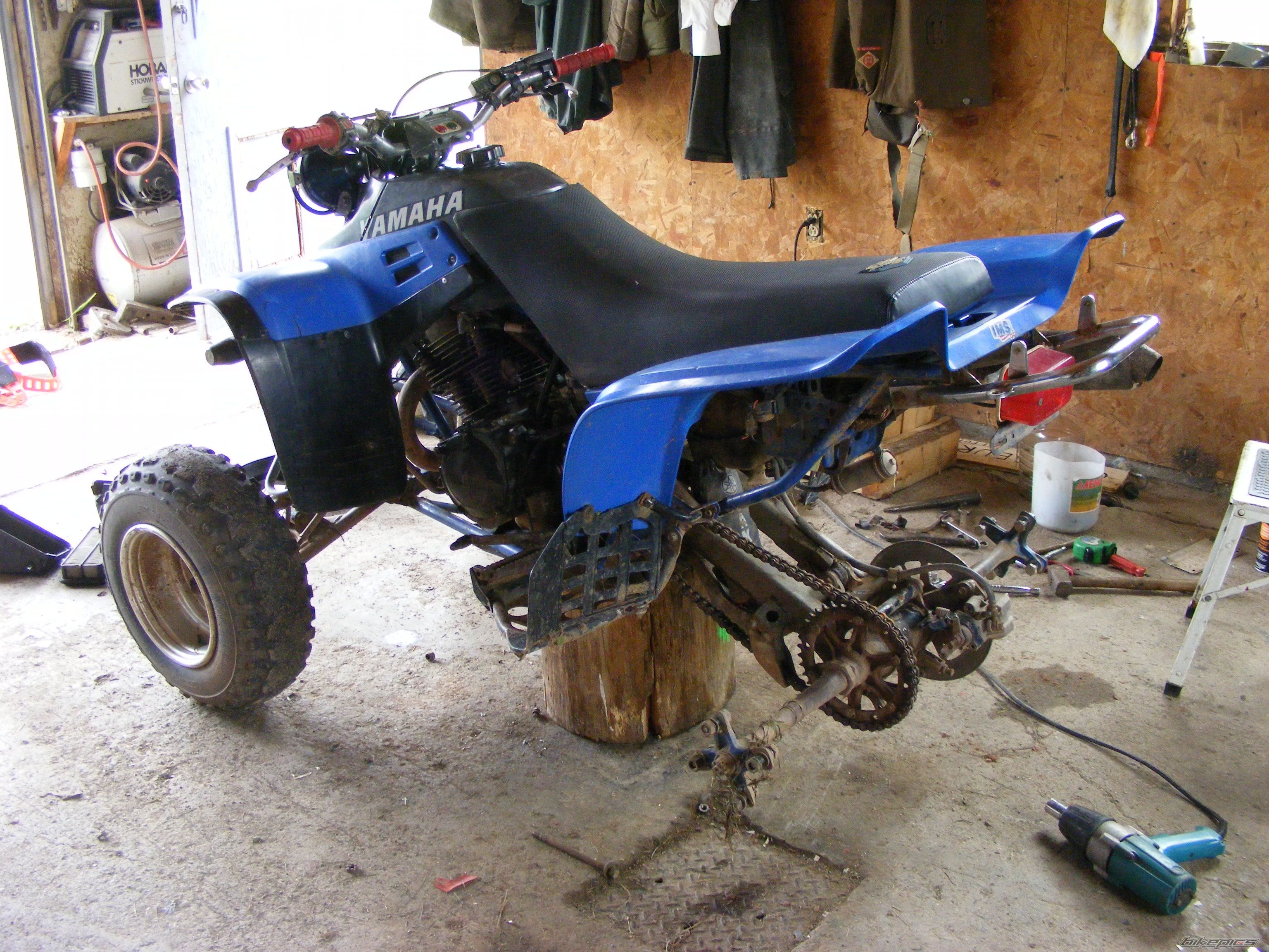 Photo 1388178