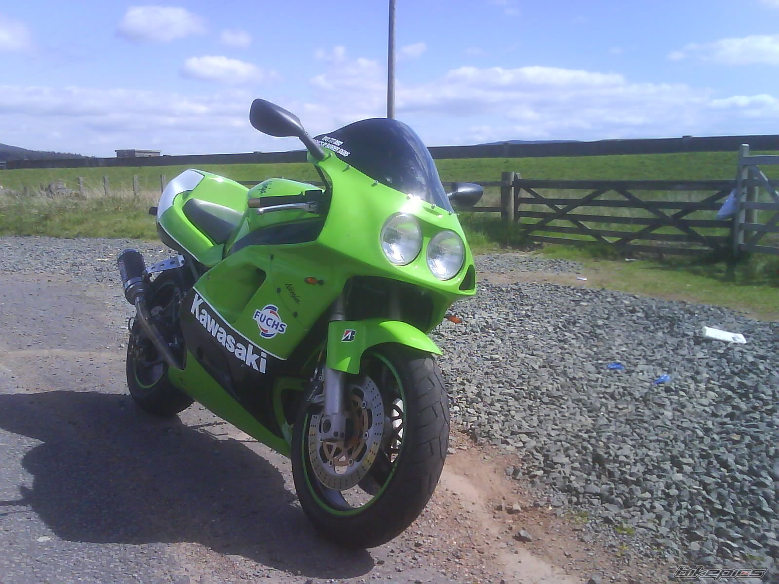 Photo 1388266