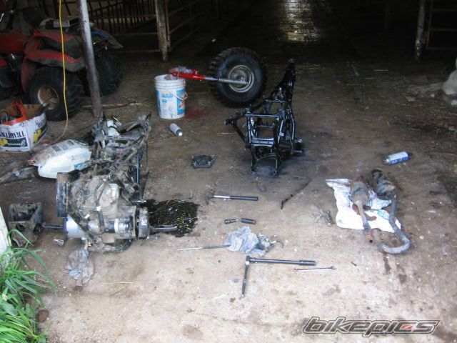 Photo 1388336