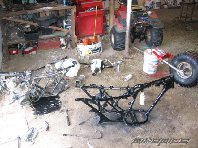 Photo 1388337