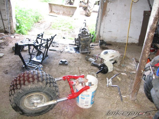 Photo 1388340