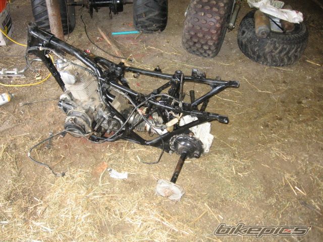 Photo 1388343
