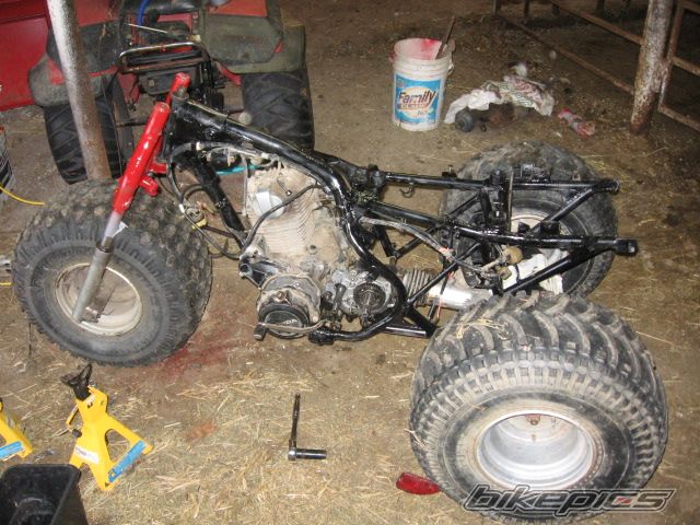 Photo 1388344