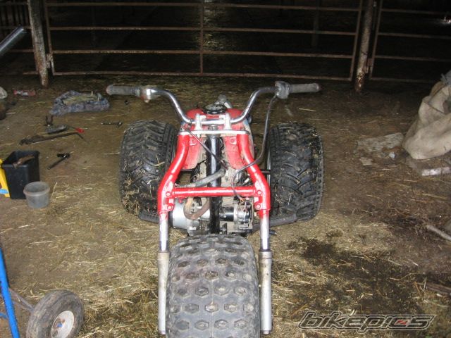 Photo 1388349