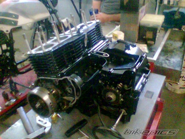 Photo 1388350