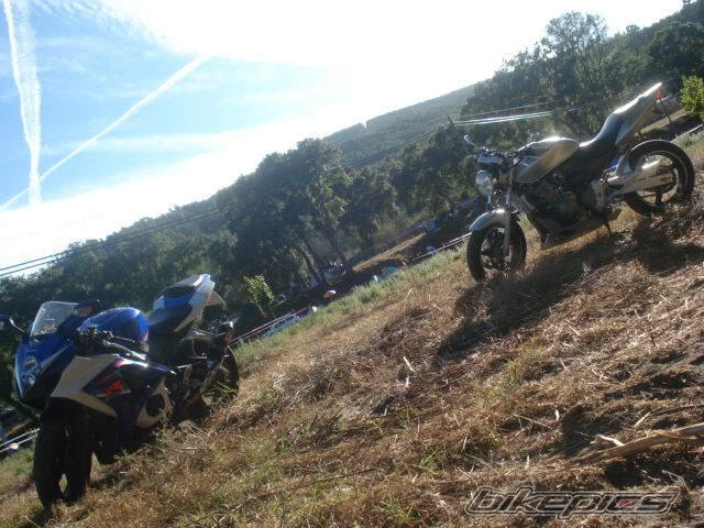 Bike Photo 1388366