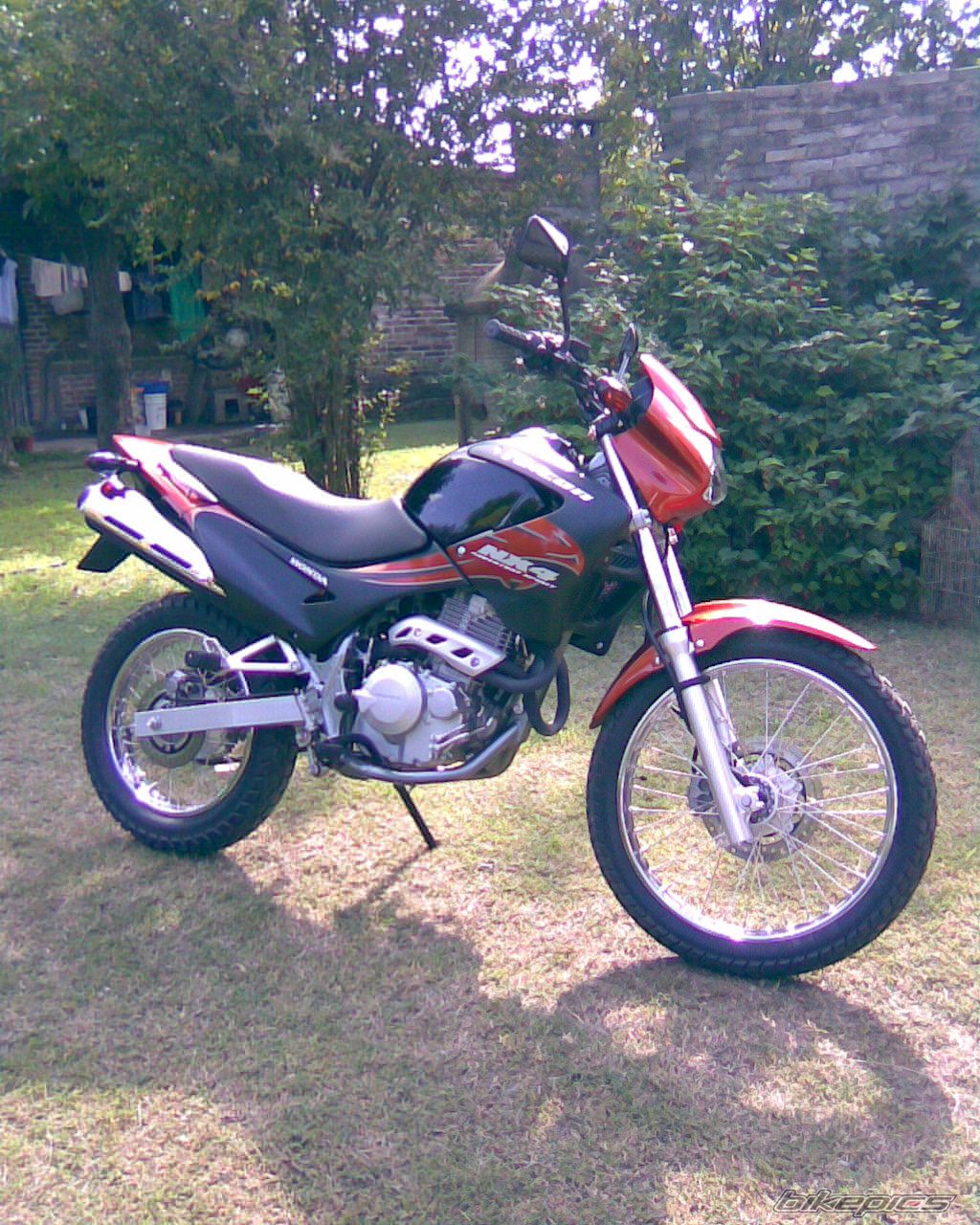 Photo 1388423