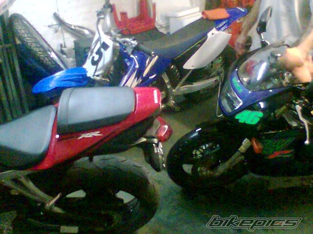 Photo 1388431